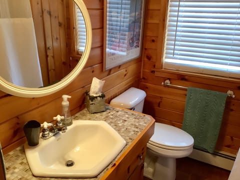 Combined shower/tub, jetted tub, hair dryer, towels