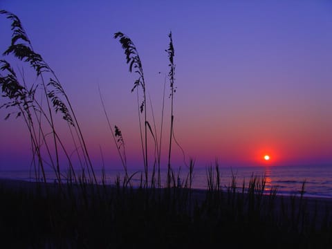 Beach | On the beach