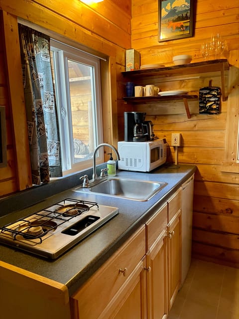 Cabin 2 kitchenette 
