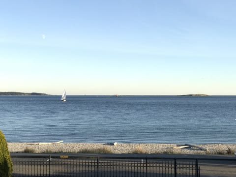 View from front patio overlooking Willows Beach