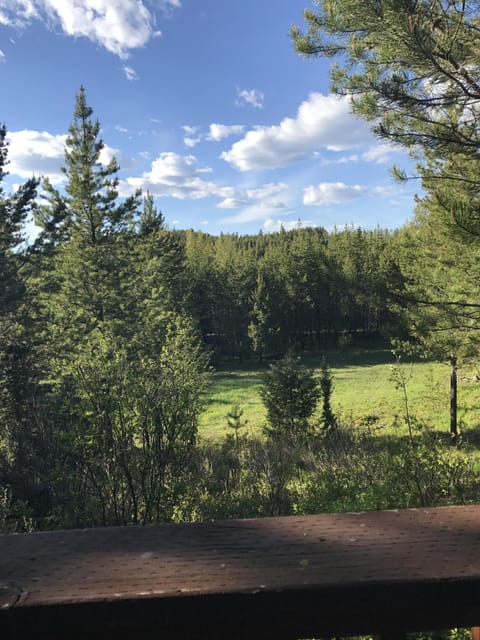 View from property