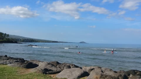 Sun loungers, beach towels