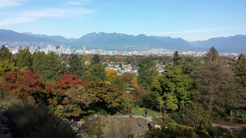 View from Queen Elizabeth Park which is only 20 mins walk from the suite.