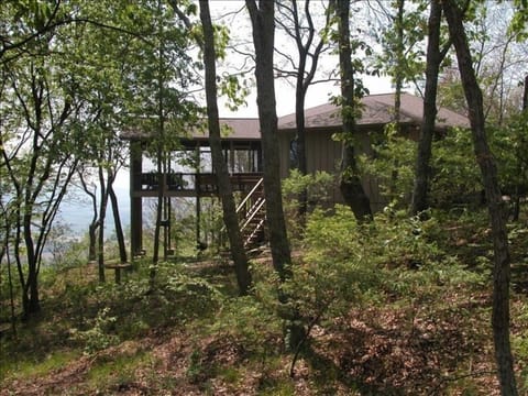 House sits right on the bluff surrounded by woods and mountain laurel
