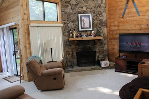 TV, fireplace, video games, DVD player