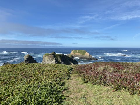 View from the back of home