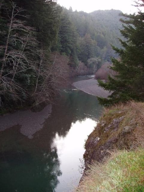 View of Austin Creek from Road