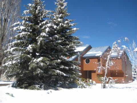 Great front yard for snow fights and snowmen