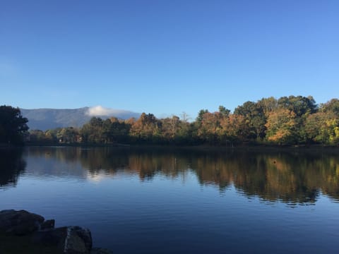 Nearby Lake Tomahawk