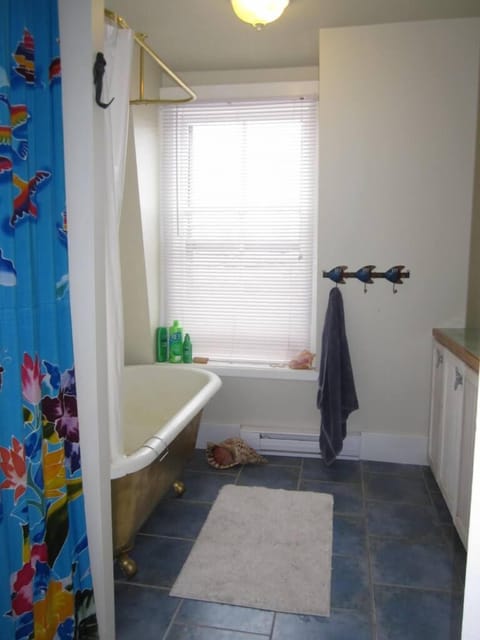 Combined shower/tub, hair dryer, towels, soap