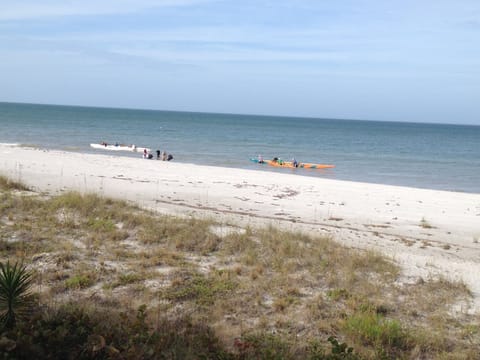 On the beach