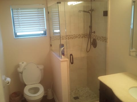 Combined shower/tub, hair dryer, towels