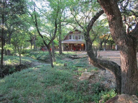 A beautiful setting with a seasonal creek and a canopy of shade trees