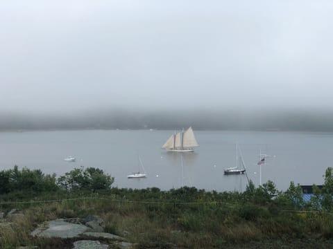 View from the deck- foggy day on the Sound