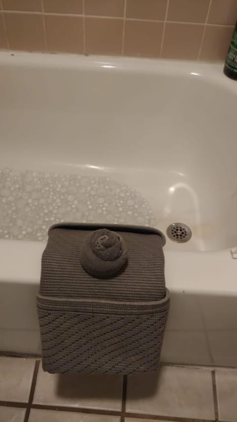 Bathtub, hair dryer, towels, soap