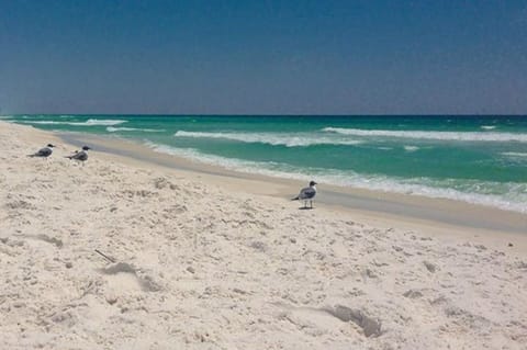 On the beach, sun loungers, beach umbrellas