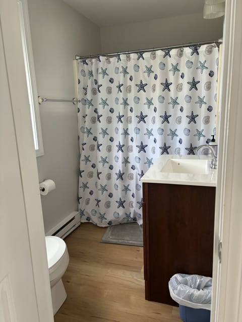 Combined shower/tub, hair dryer, towels