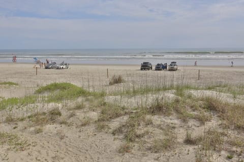 On the beach