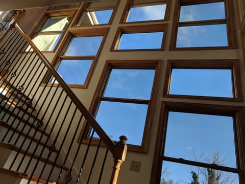 Wall of windows continues downstairs.