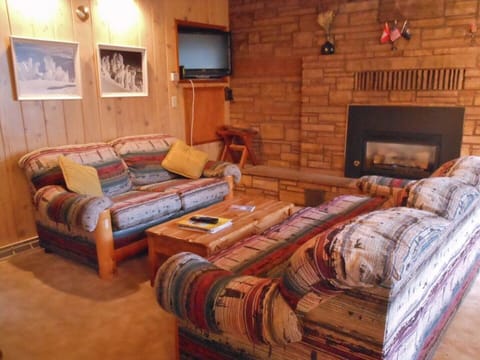 Comfortable living room.