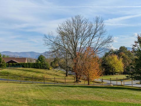 Mountain View From the Porch!