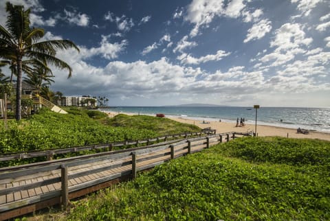 Beach nearby, sun loungers, beach towels