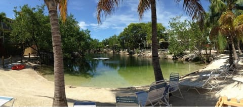 Our Lagoon beach with lounge chairs.