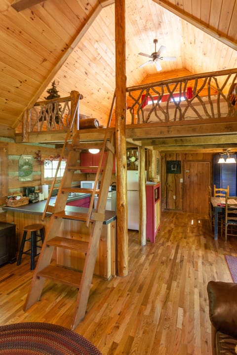 ladder to loft bedroom...