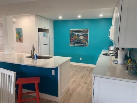 Free Island Sprint has been transformed- Wonderful Renovation done in Fall 21 Condo in Key West