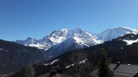 Mont Blanc
 and Aiguille du Midi from chalet