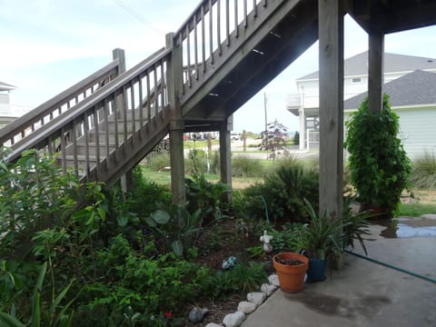 beautifully landscaped yard