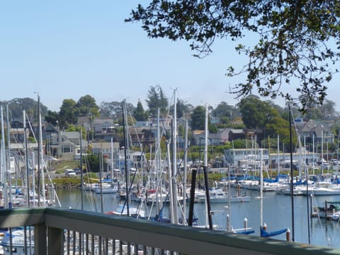 Harbor View from Deck