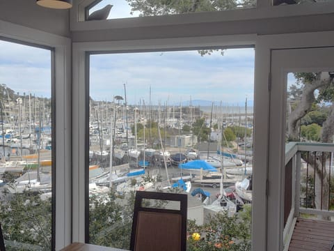 View from Eating Area