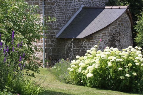 The old oven from the garden