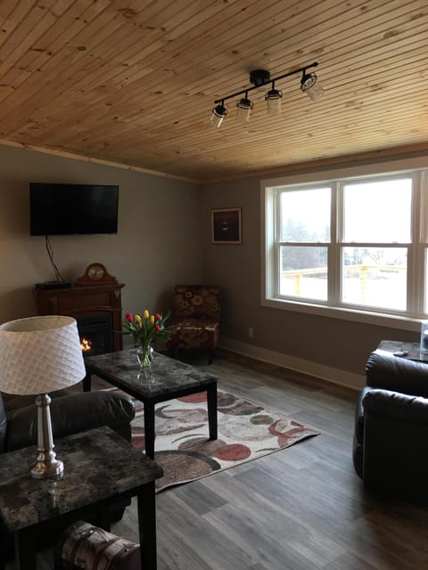 Smart TV, fireplace, books