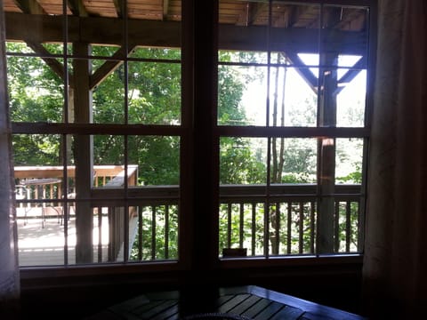 view from the living room window