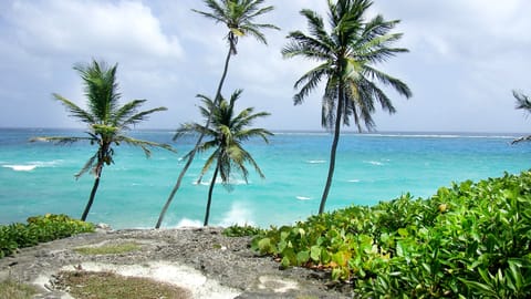 Beach nearby, beach towels