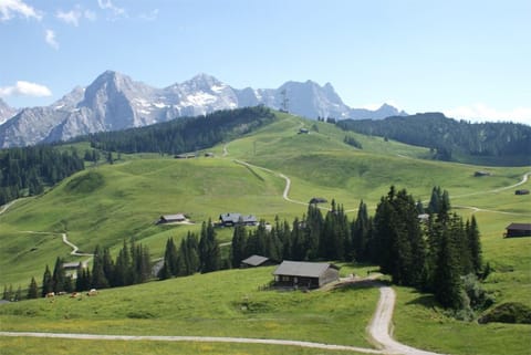 The beautiful Lofer Alm