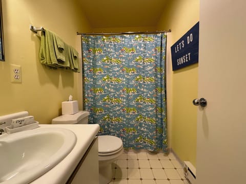 Combined shower/tub, hair dryer, towels, soap