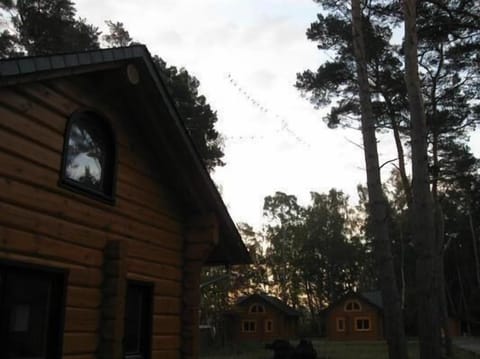 you can see cranes above the house in spring and autum