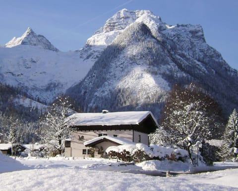 The house in December