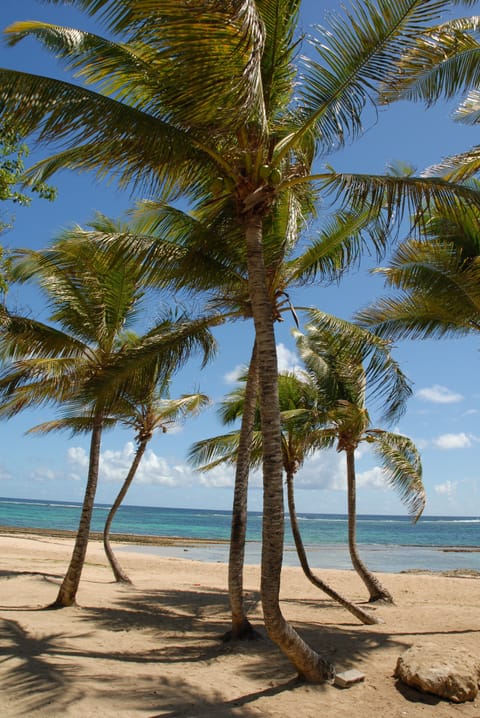 Beach nearby, beach towels