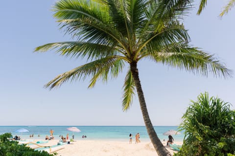 Beach nearby, sun loungers, beach towels