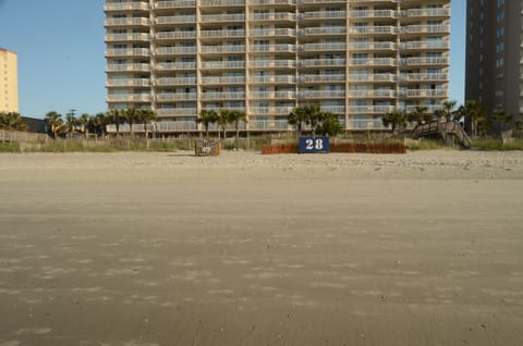 Beach in front of South tower