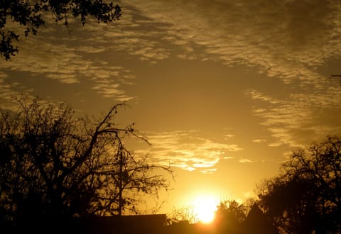 A view from the swing as the sun goes down.