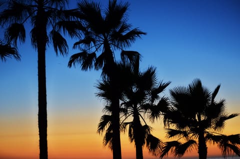 Sun loungers, beach towels