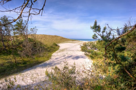 Beach nearby, sun loungers