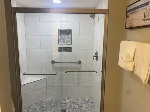 Combined shower/tub, jetted tub, hair dryer, towels