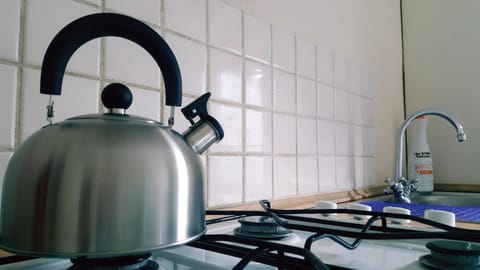 Fridge, oven, stovetop, electric kettle