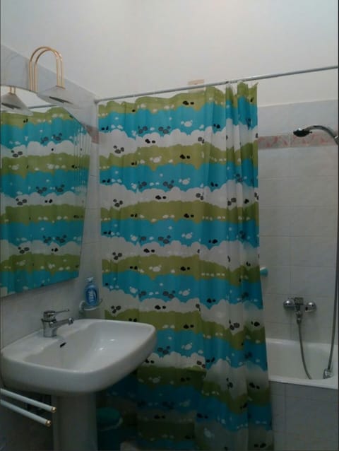 Combined shower/tub, hair dryer, towels, toilet paper